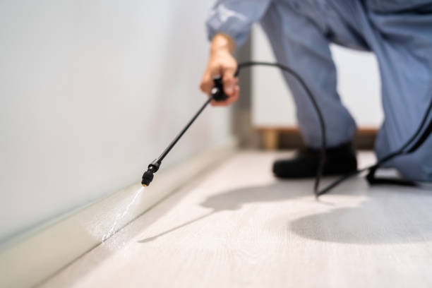 Certified termite inspector examining foundation in Jackson